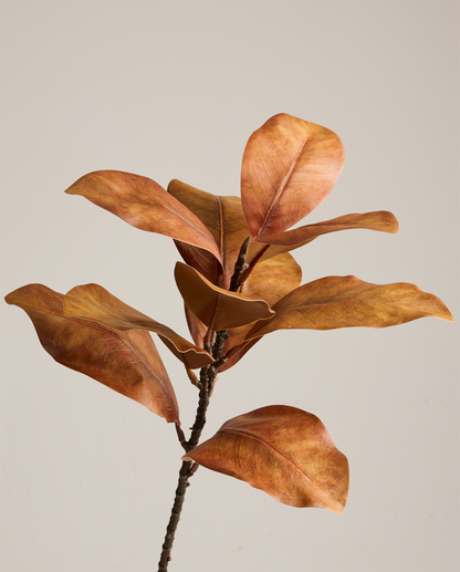 MAGNOLIA BRANCH IN GOLDEN BROWN