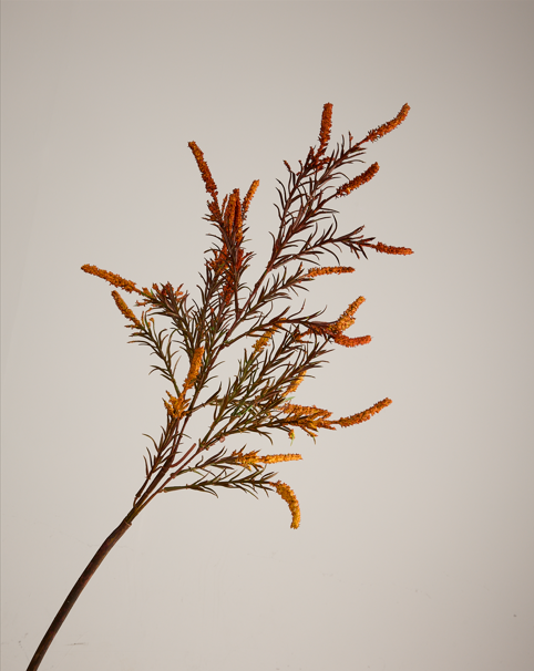 ORANGE AUTUMNAL SPRAY