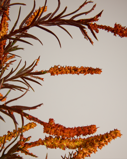 ORANGE AUTUMNAL SPRAY