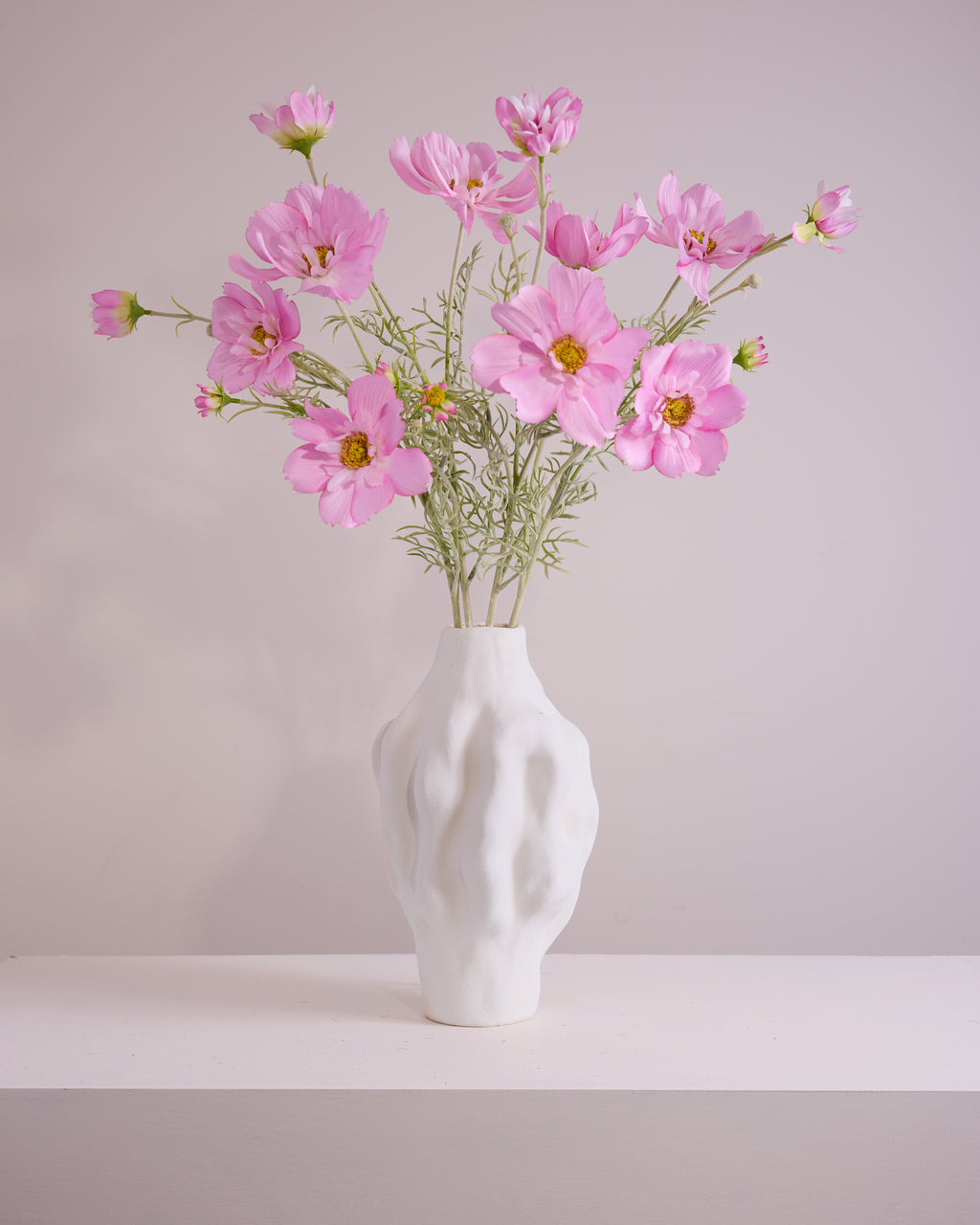 COSMOS IN PINK