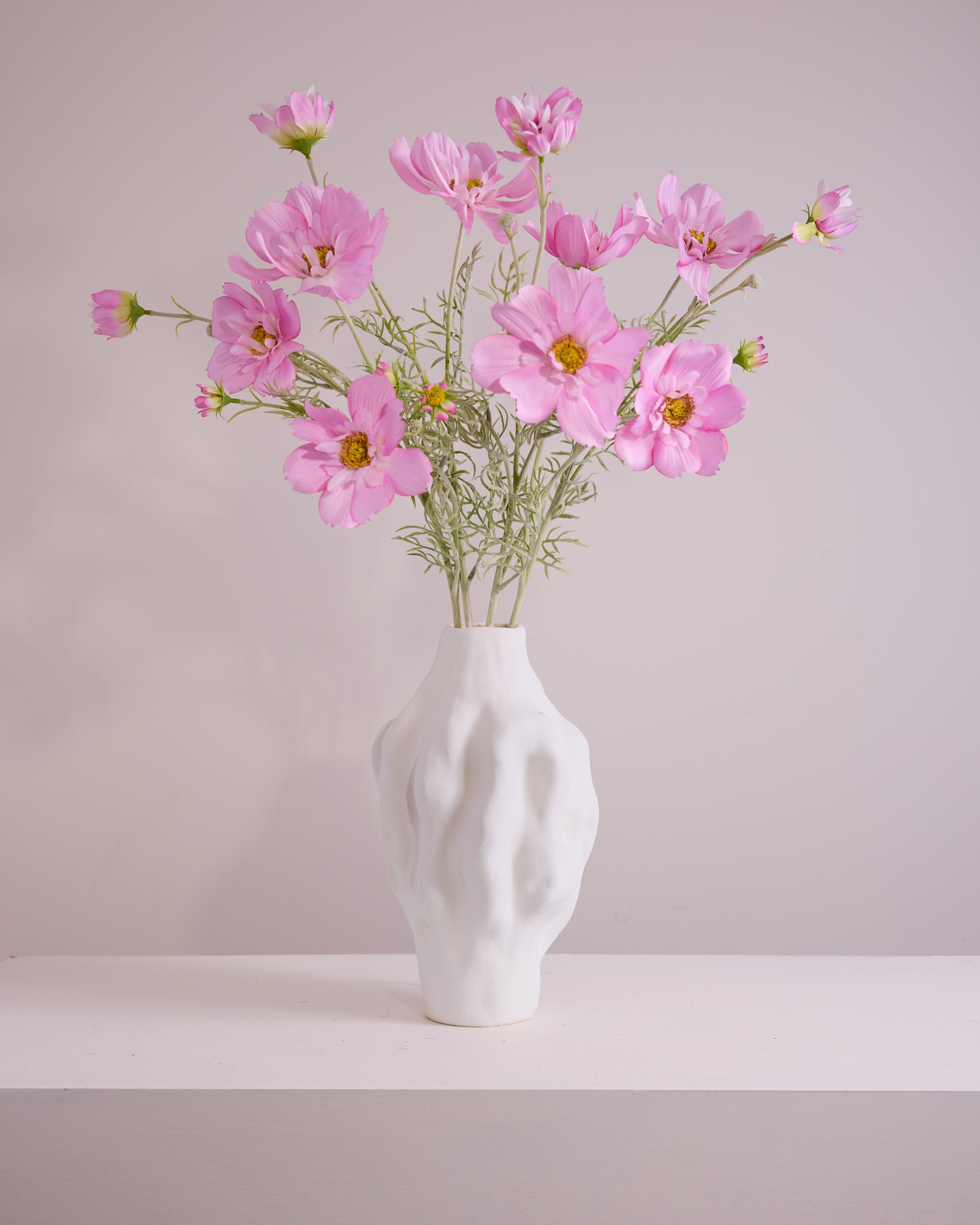 COSMOS IN PINK