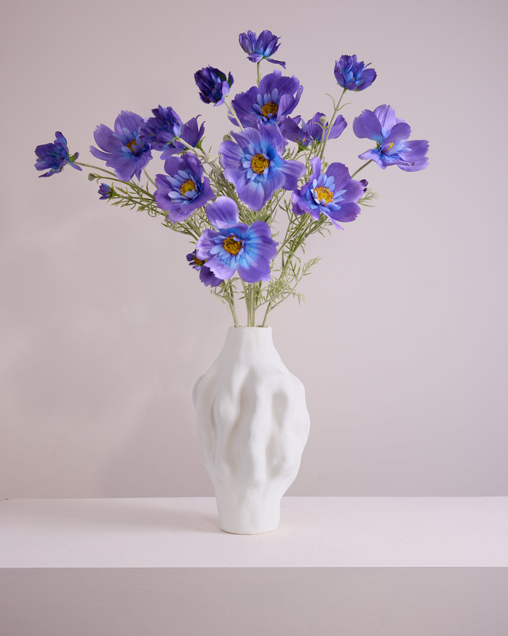 COSMOS IN PURPLE AND BLUE