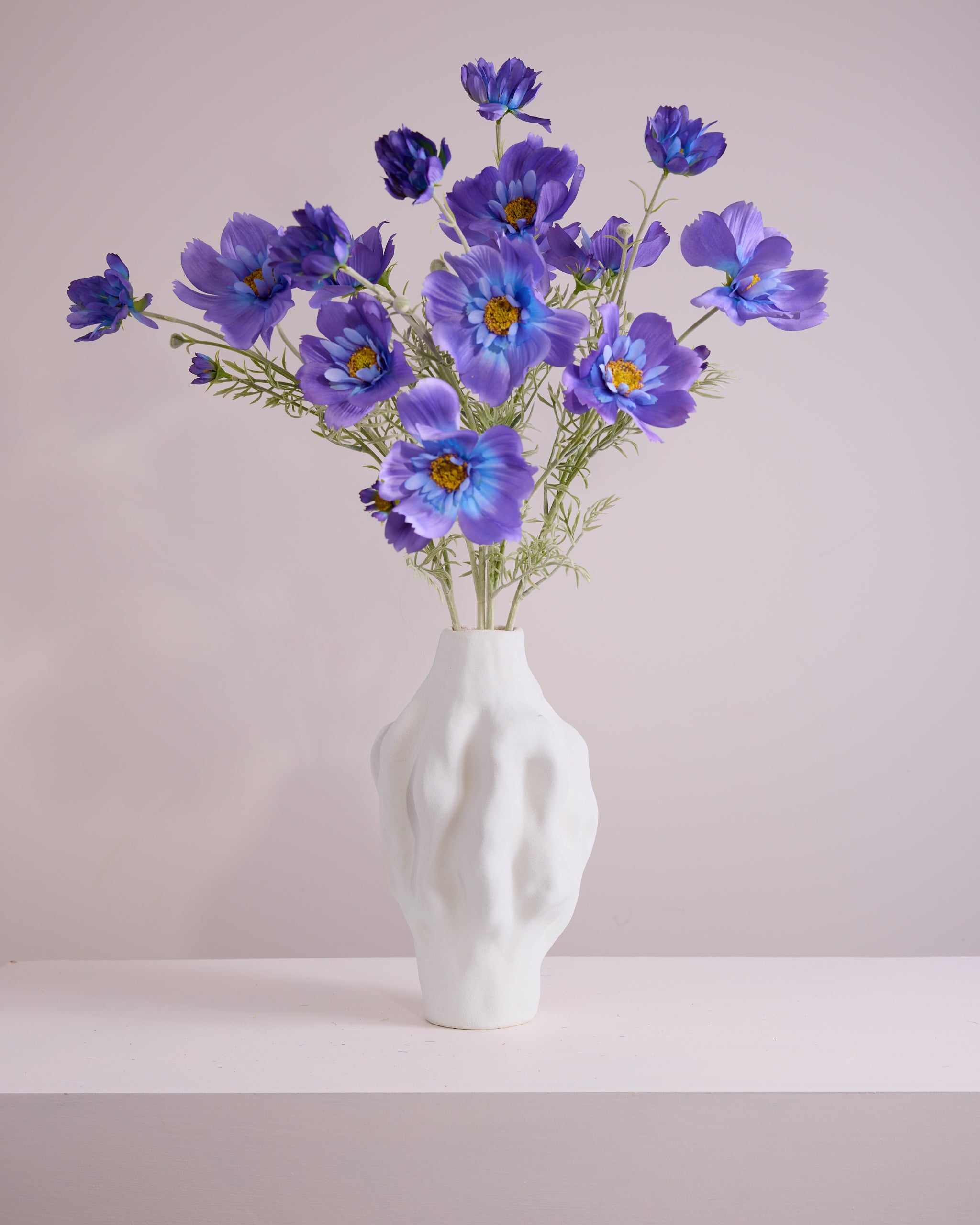 COSMOS IN PURPLE AND BLUE