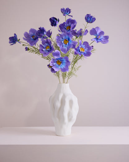 PURPLE AND BLUE COSMOS