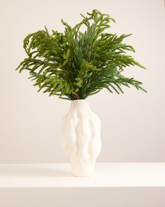 NATURAL CYPRUS PINE SPRUCE