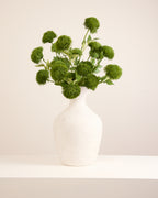 DIANTHUS IN DARK GREEN