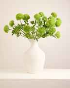 DIANTHUS IN GREEN