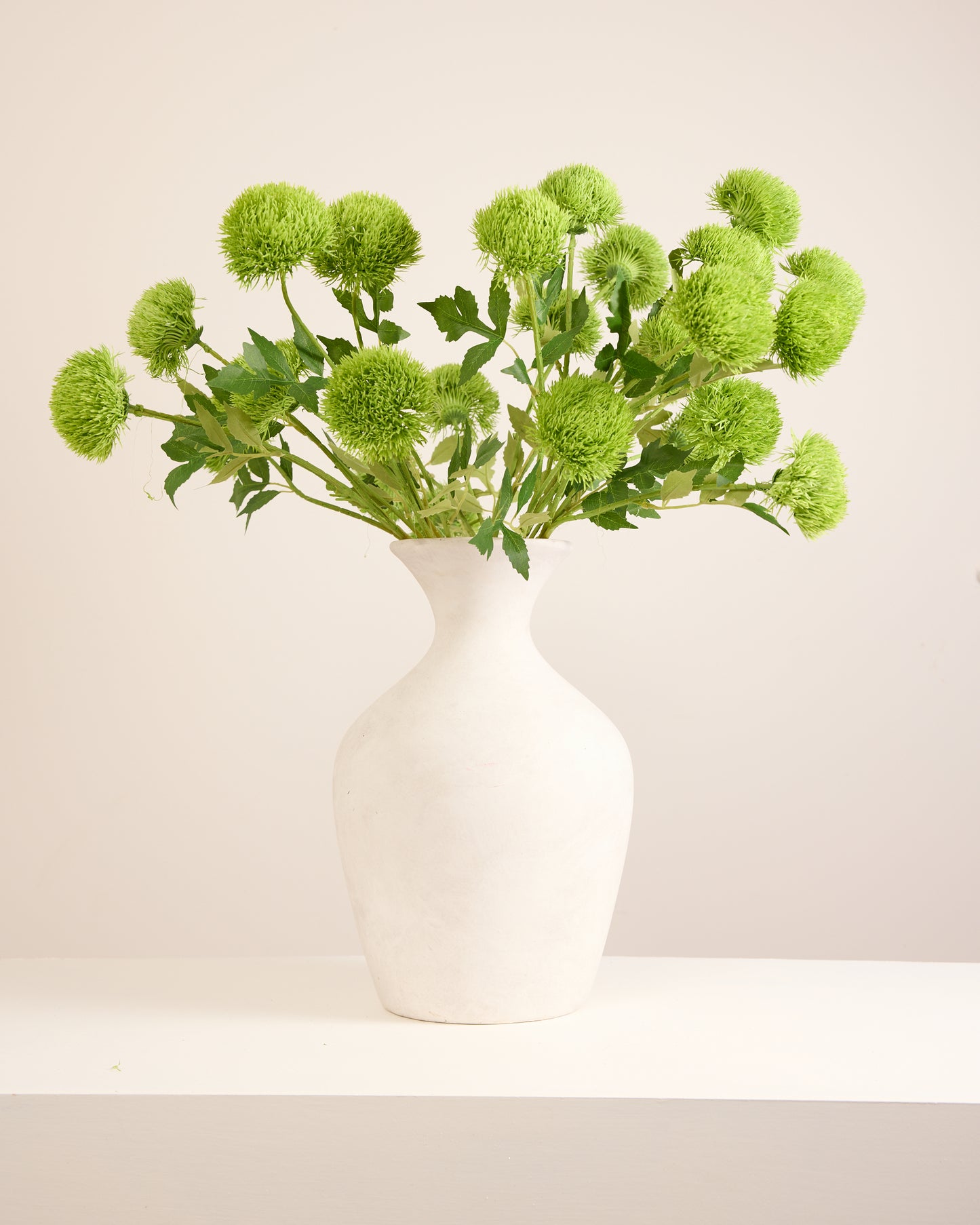 GREEN DIANTHUS
