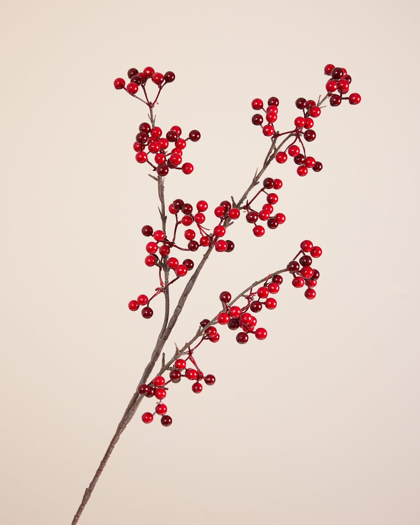 FESTIVE RED BERRY