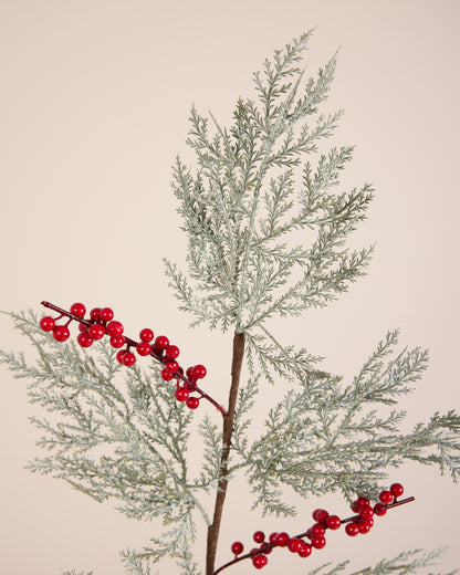 FROSTED PINE AND RED BERRY SPRAY