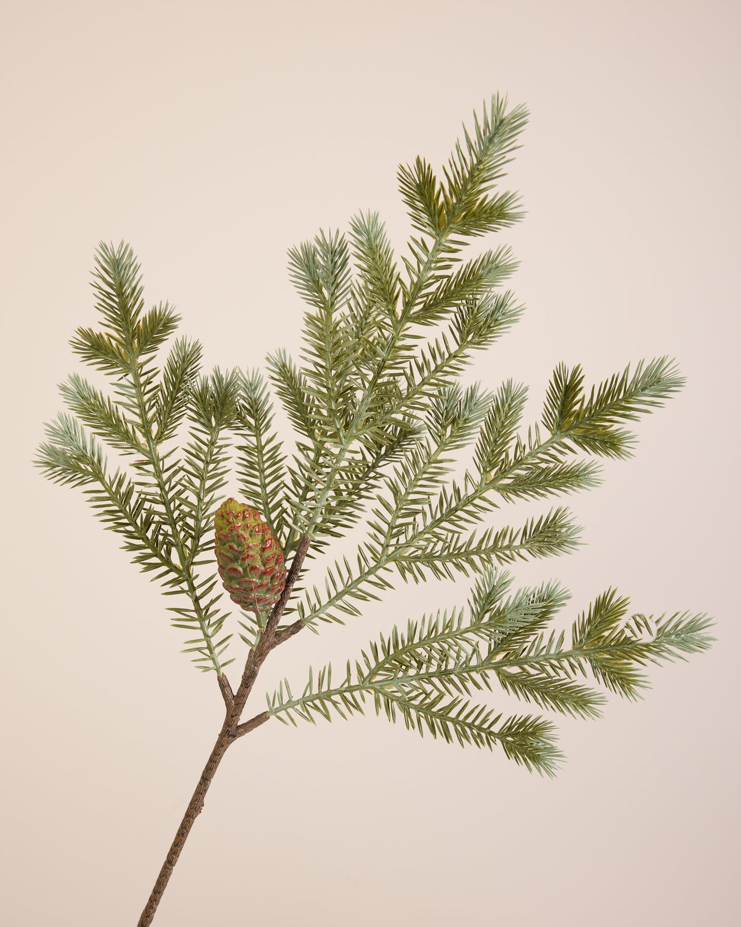 Pine Cone Spruce